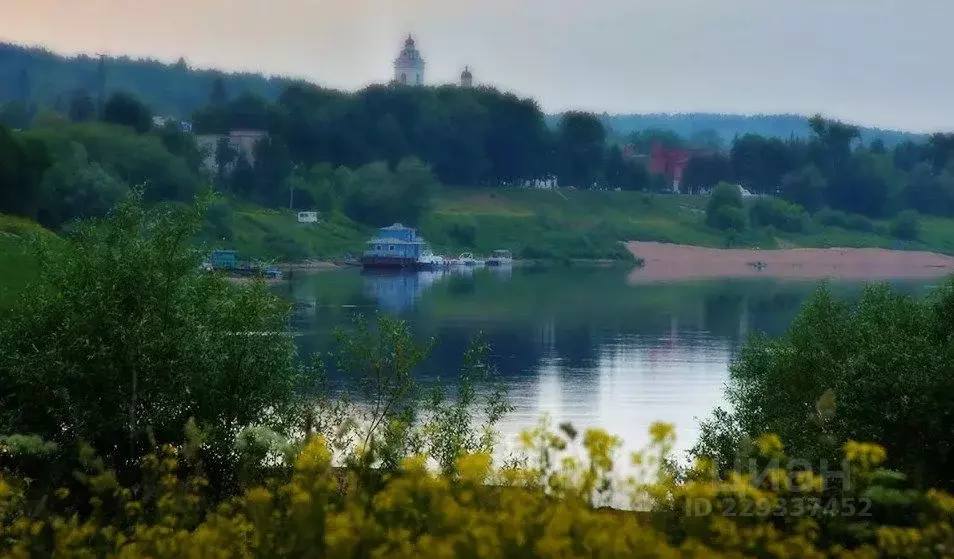 Участок в Калужская область, Тарусский район, Алекино с/пос, д. ... - Фото 2