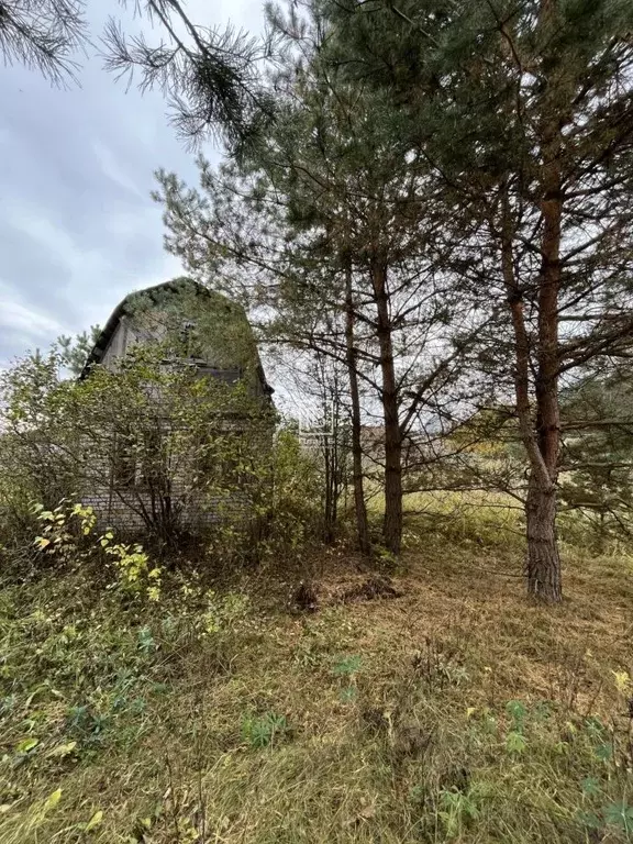Участок в Калужская область, Дзержинский муниципальный округ, Льва ... - Фото 1