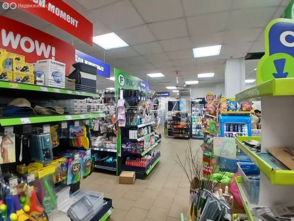 Помещение свободного назначения (290 м) - Фото 2