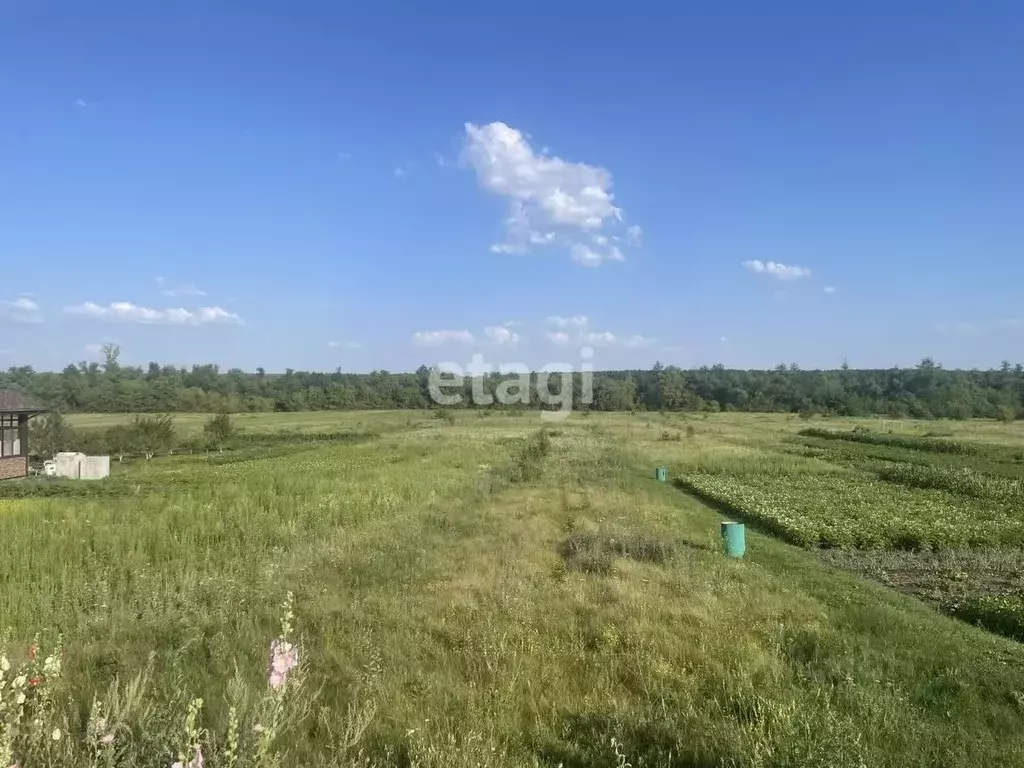 Участок в Белгородская область, Старооскольский городской округ, с. ... - Фото 0