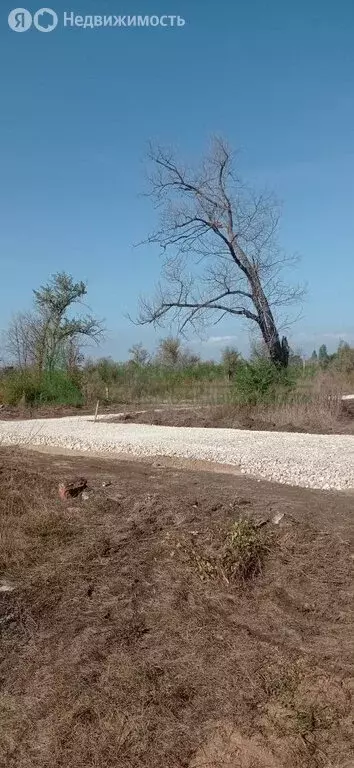 Участок в Саратовская область, муниципальное образование Энгельс, ... - Фото 0