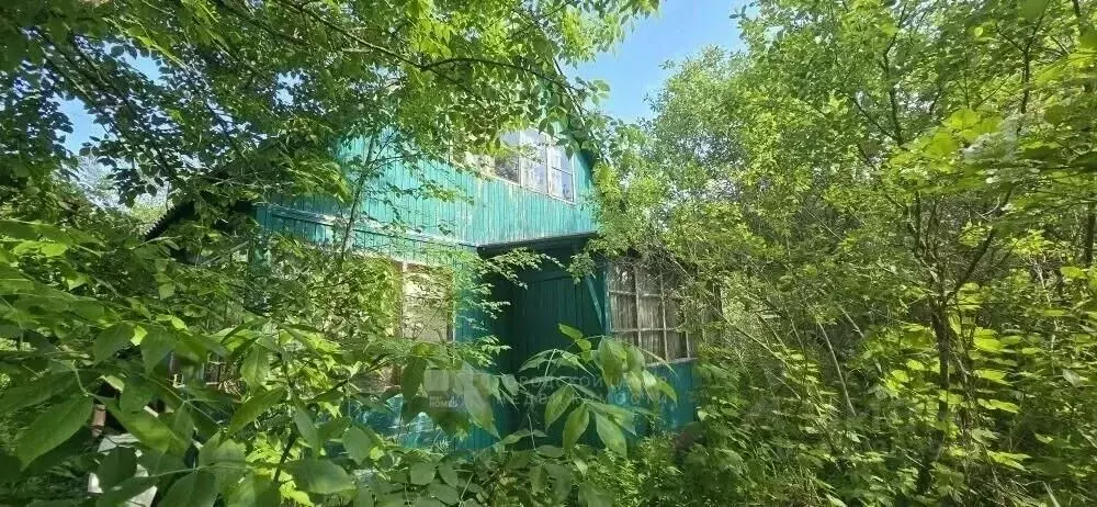 Участок в Москва д. Шеломово, Тяжмашевец СНТ, 94 (9.0 сот.) - Фото 1