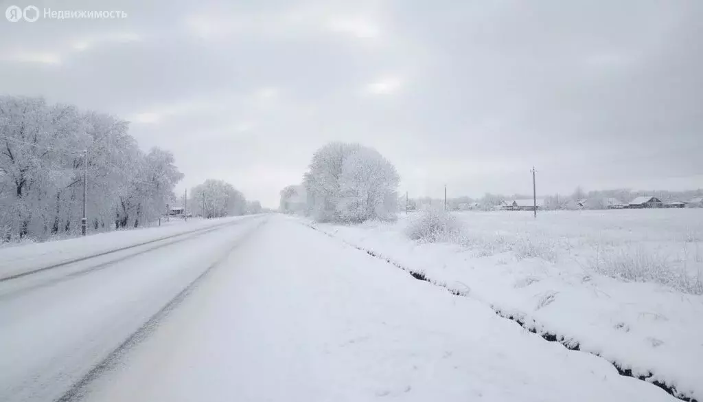 Участок в Лопухинское сельское поселение, ДНП Заостровье, Парадная ... - Фото 1