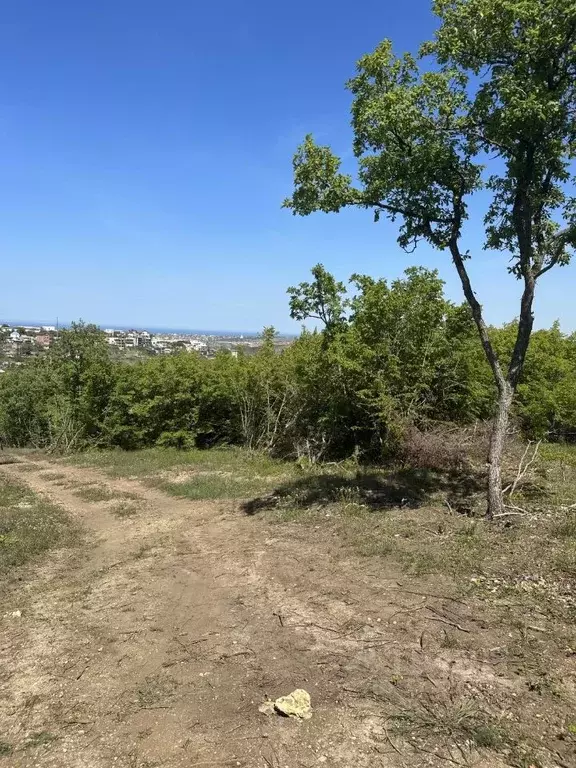 Участок в Севастополь  (800.0 сот.) - Фото 0