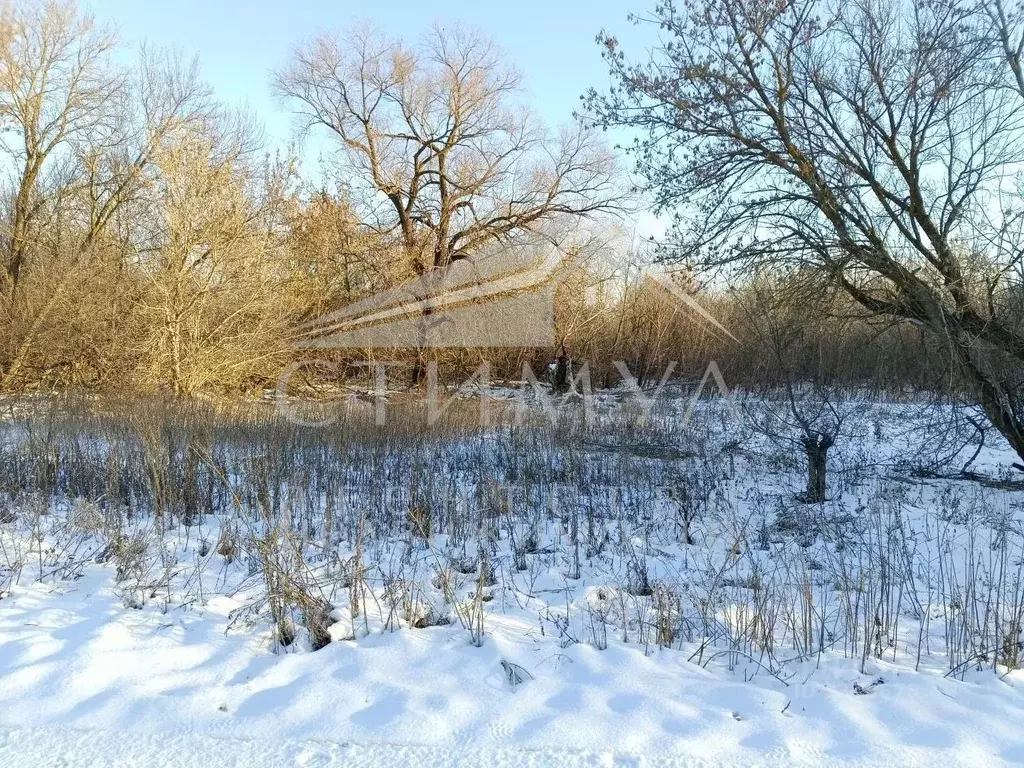 Участок в Саратовская область, Татищевский район, Вязовское ... - Фото 1