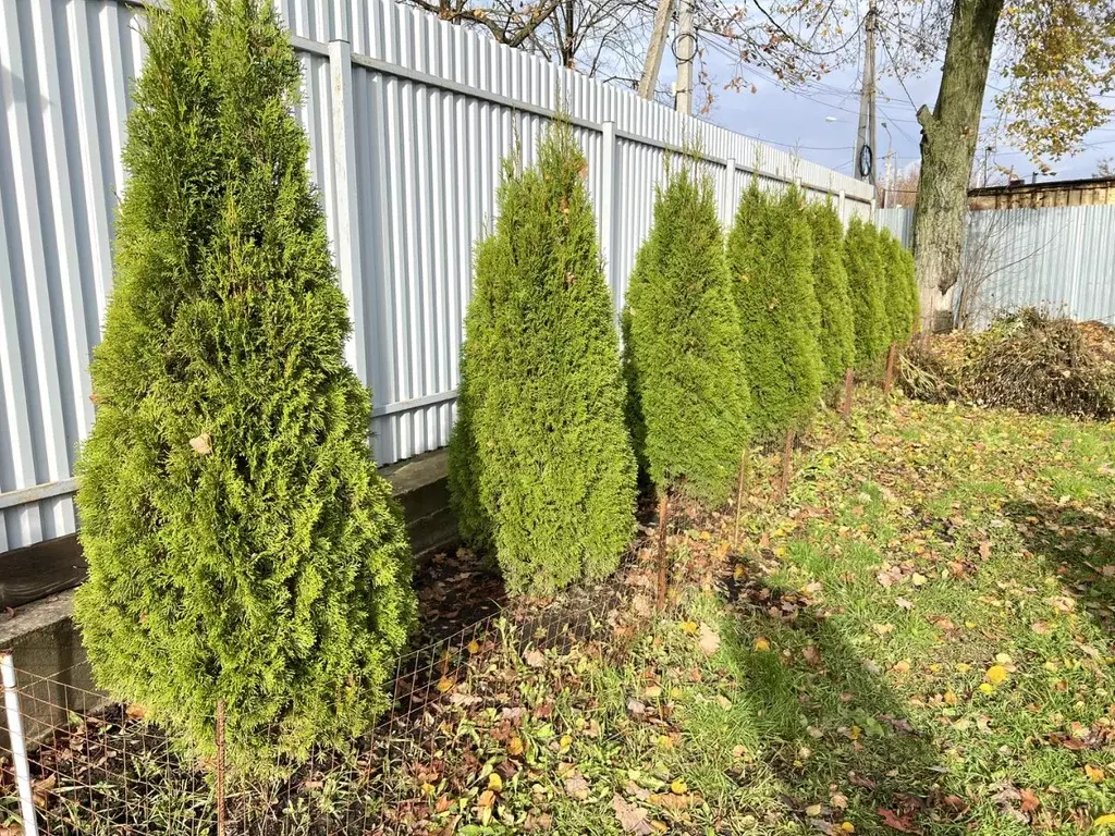 Дом в Московская область, Чехов муниципальный округ, д. Дмитровка 10 ... - Фото 2
