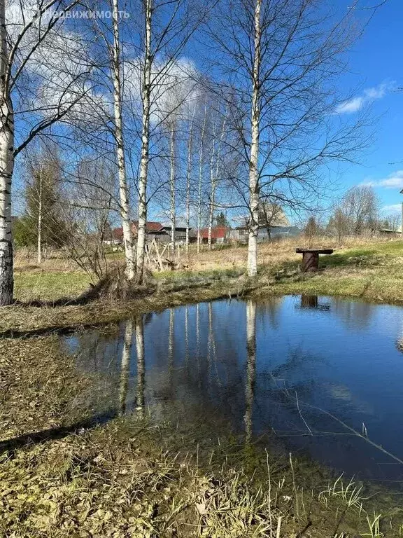 Участок в Киришский район, Пчёвжинское сельское поселение, деревня ... - Фото 1