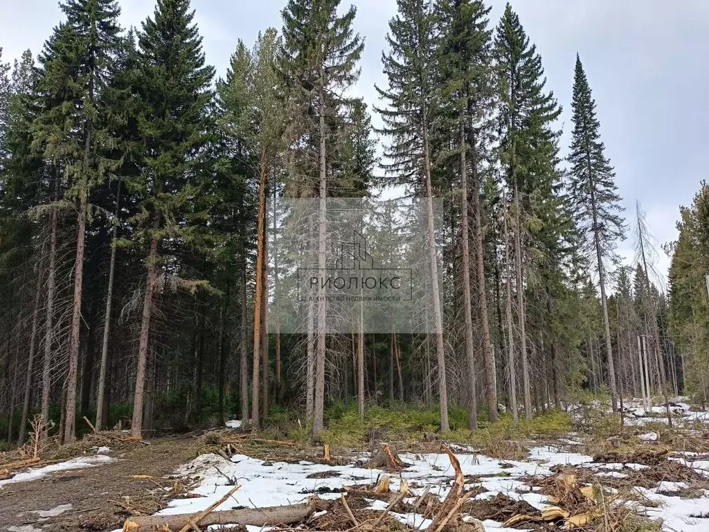 Участок в Свердловская область, Ревда  (10.0 сот.) - Фото 0