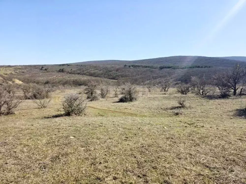 Участок в Крым, Кировский район, Старый Крым городское поселение ул. ... - Фото 1