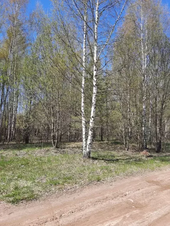 Участок в Тверская область, Калининский муниципальный округ, д. ... - Фото 1
