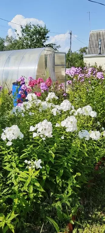 Участок в Ленинградская область, Гатчинский муниципальный округ, ... - Фото 2