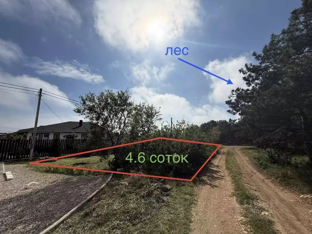 Участок в Севастополь Чайка садоводческое товарищество, ул. 3-я (4.6 ... - Фото 1