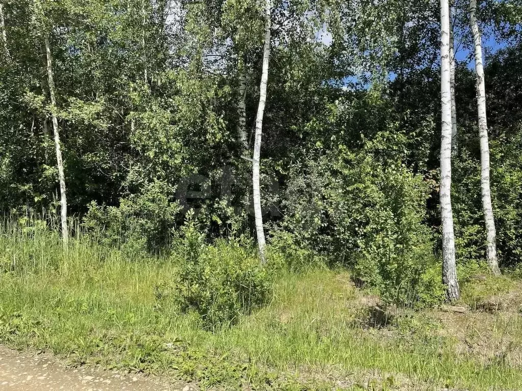 Участок в Московская область, Наро-Фоминский городской округ, д. ... - Фото 2