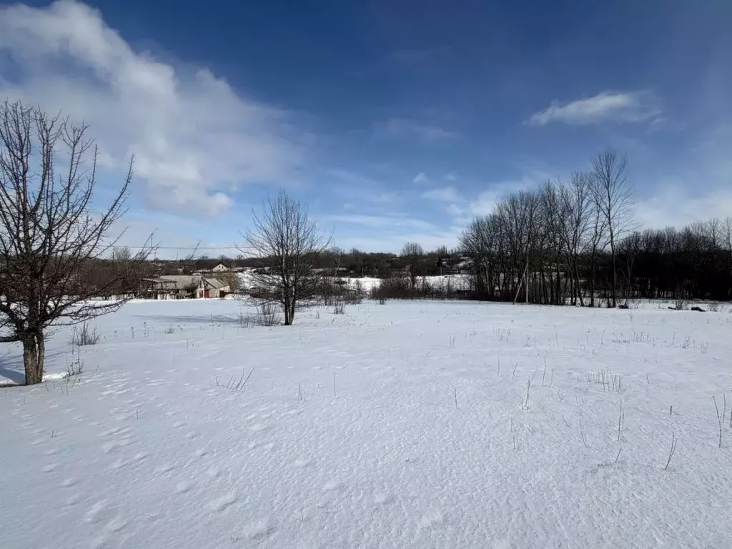 Участок в Воронежская область, Рамонский район, с. Чистая Поляна ... - Фото 2