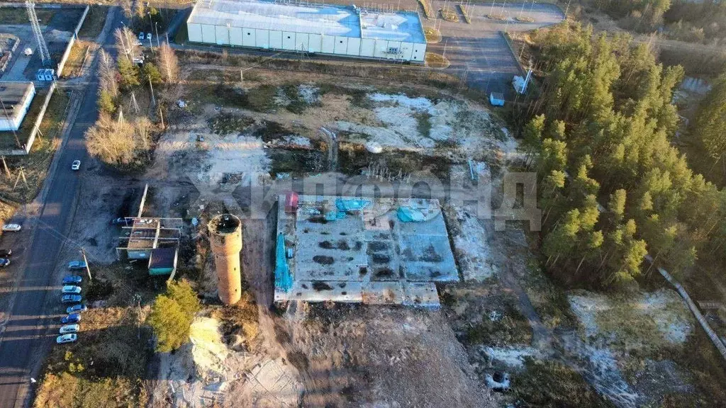 Участок в Ленинградская область, Луга Ленинградское ш. (108.0 сот.) - Фото 2