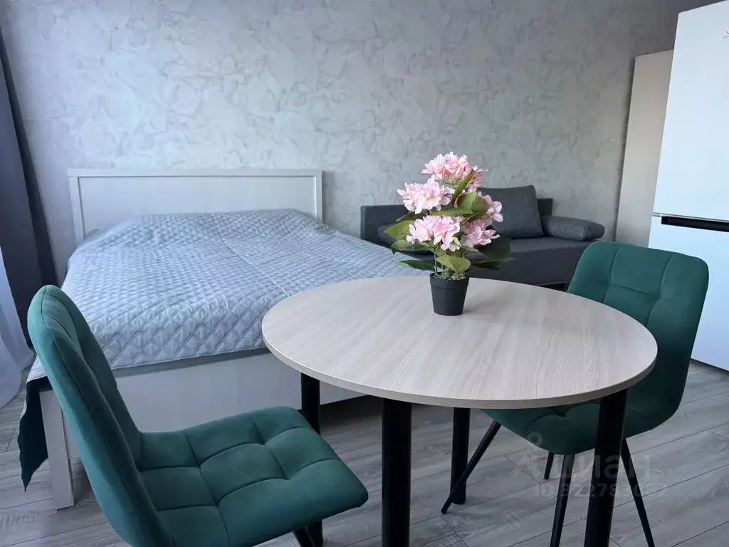 Студия Московская область, Красногорск городской округ, д. Глухово ул. ... - Фото 2