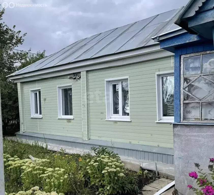 Дом в Пензенская область, рабочий посёлок Пачелма, Октябрьская улица ... - Фото 1