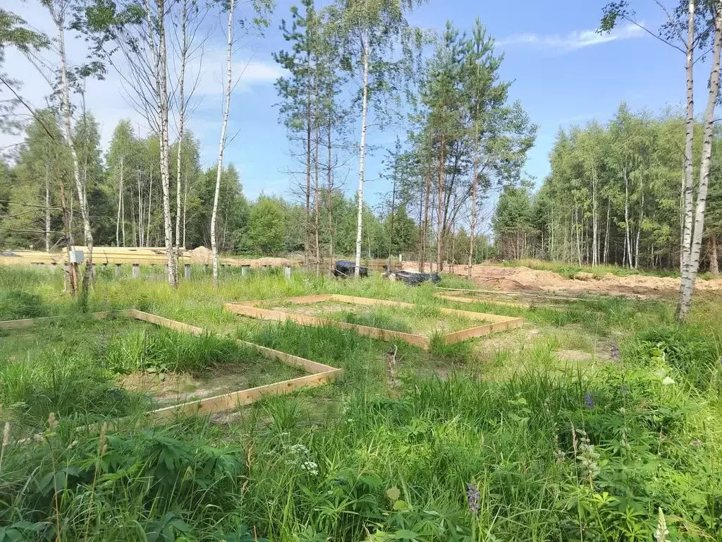 Участок в Владимирская область, Ковровский район, Доброград ... - Фото 0