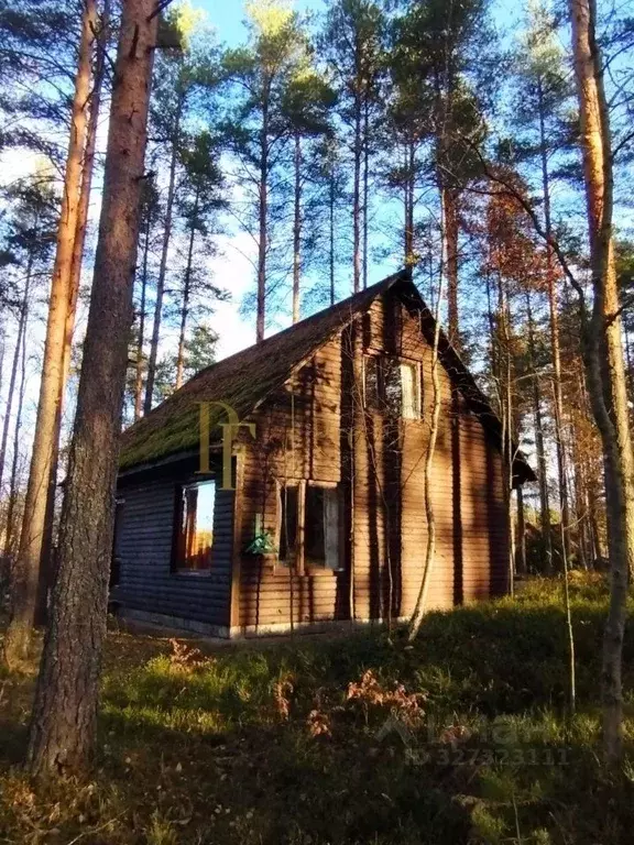 Дом в Ленинградская область, Выборгский район, Рощинское городское ... - Фото 1