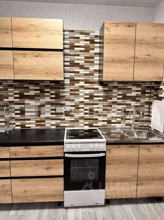 Студия Новосибирская область, Новосибирск Спортивная ул., 43 (29.0 м) - Фото 1