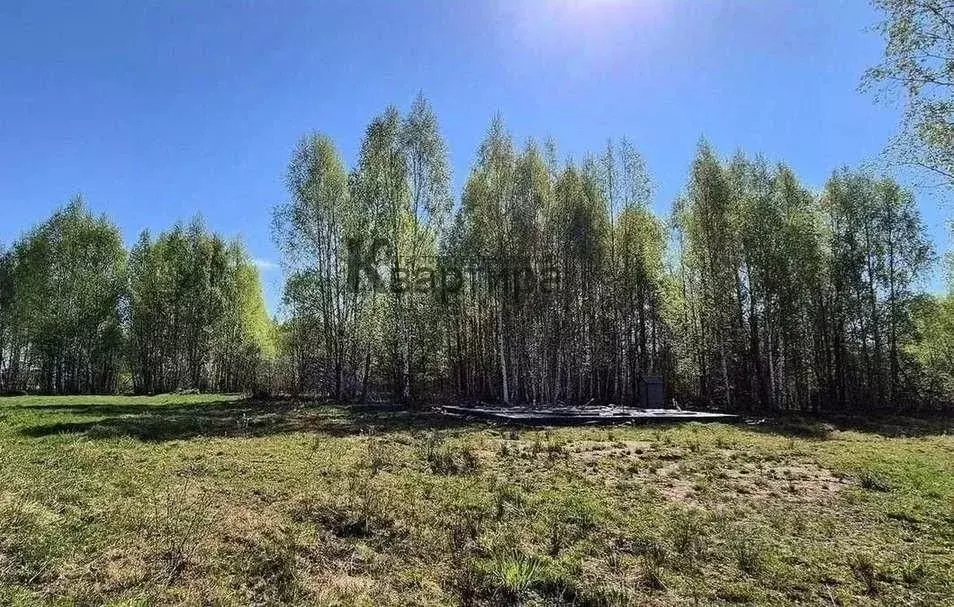 Участок в Смоленская область, Смоленский муниципальный округ, д. ... - Фото 1