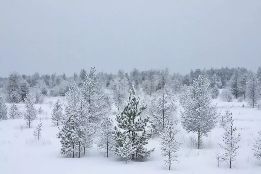 Участок в Тульская область, Тула городской округ, с. Частое ул. Ясная ... - Фото 1