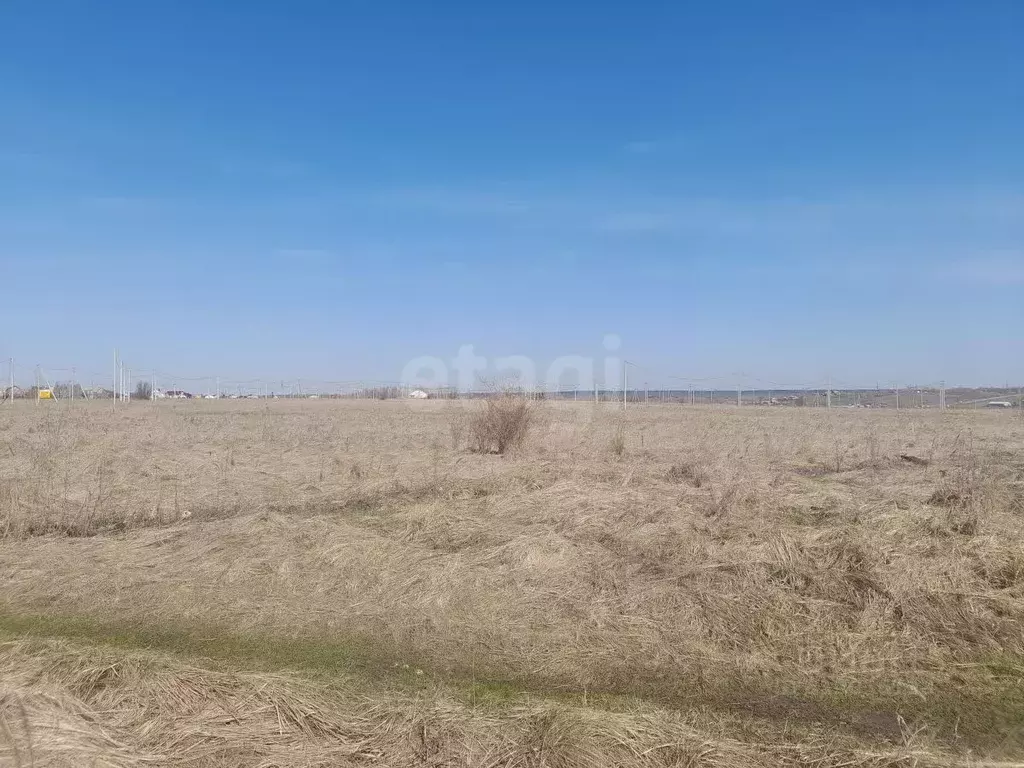 Участок в Саратовская область, Балашовский район, Хоперское ... - Фото 1