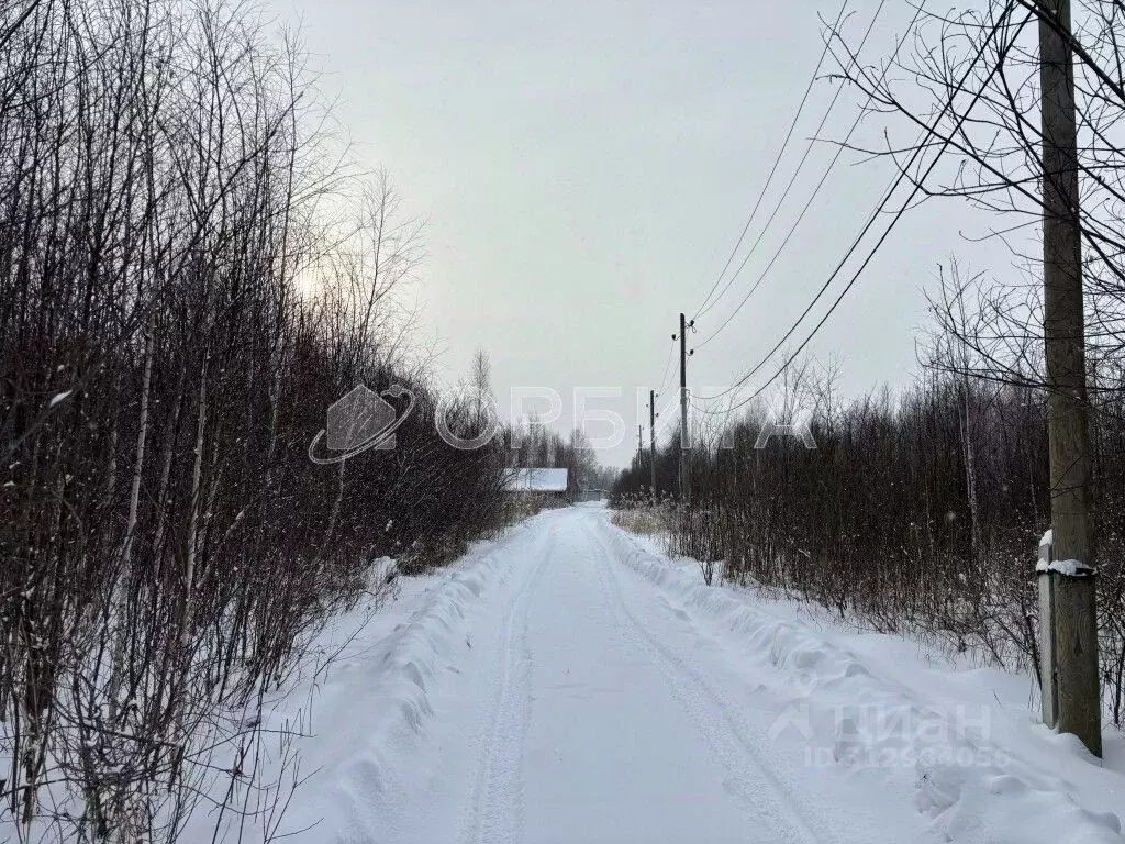 Участок в Тюменская область, Нижнетавдинский район, Лесная сказка СНТ ... - Фото 0