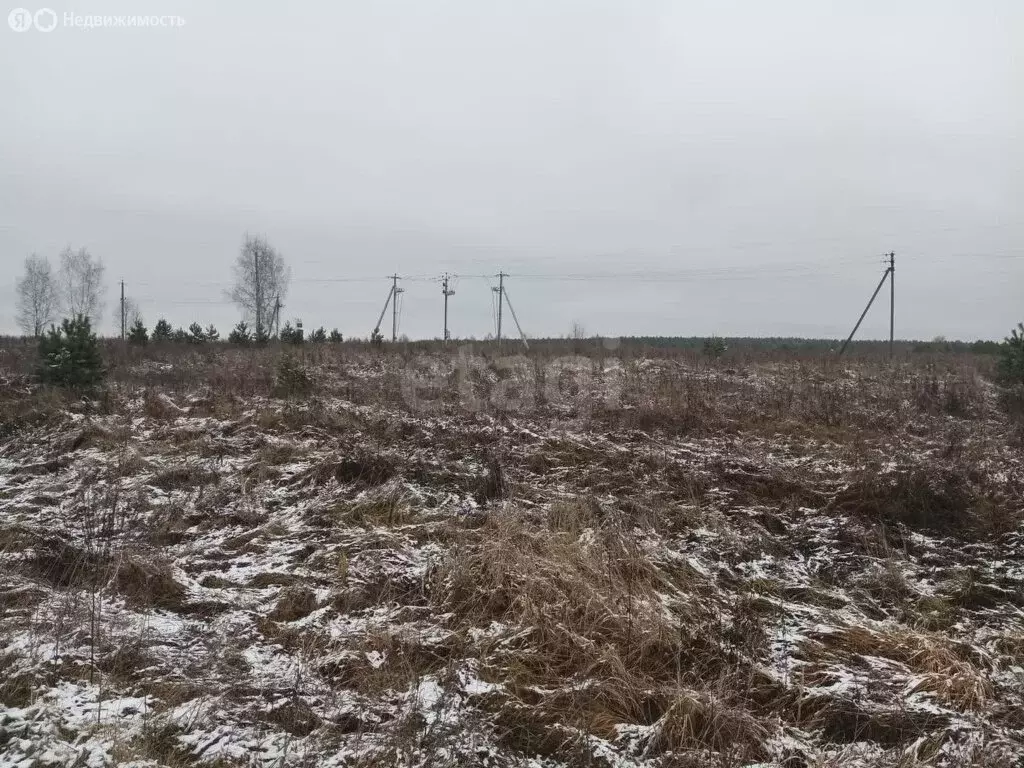 Участок в Калужская область, Перемышльский муниципальный округ, ... - Фото 2