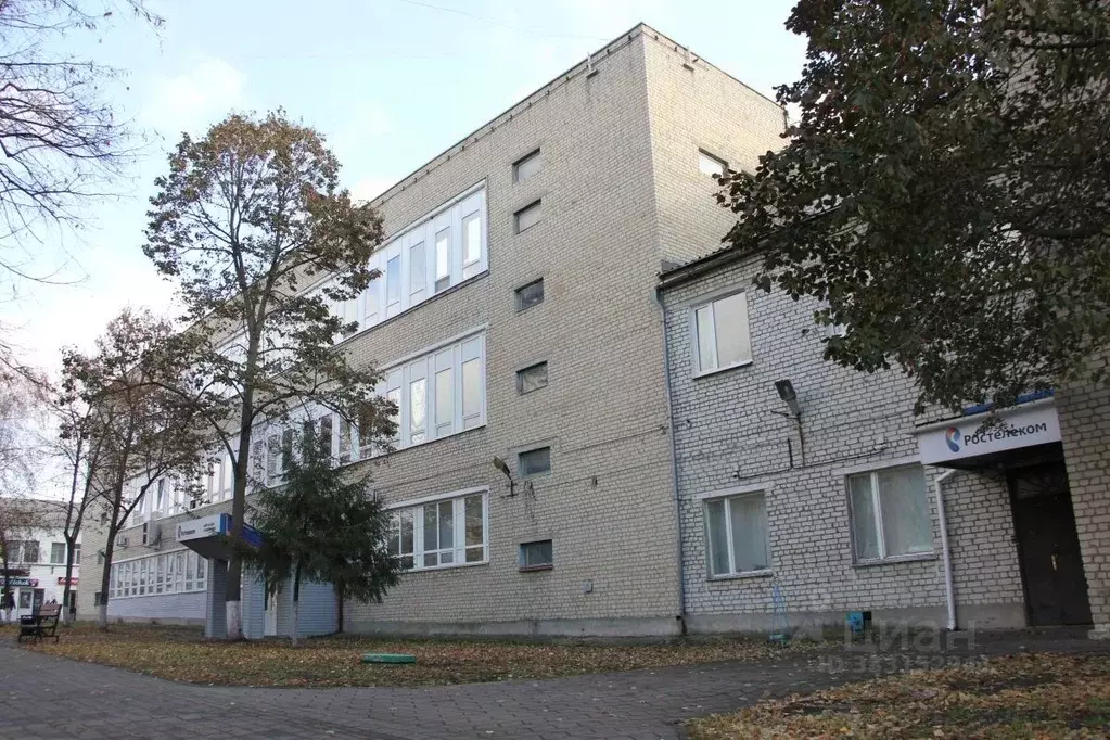 Помещение свободного назначения в Белгородская область, Алексеевка ул. ... - Фото 1