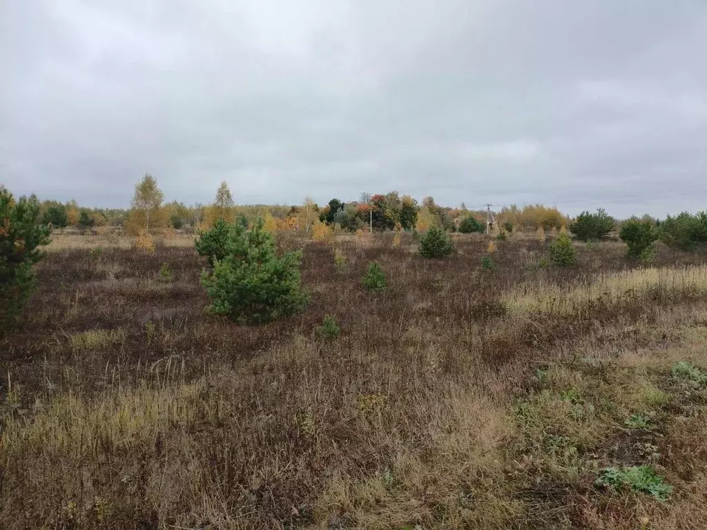 Участок в Московская область, Коломна городской округ, д. Свиридоново  ... - Фото 0