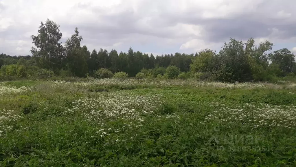 Участок в Московская область, Люберцы городской округ, Малаховка пгт, ... - Фото 0
