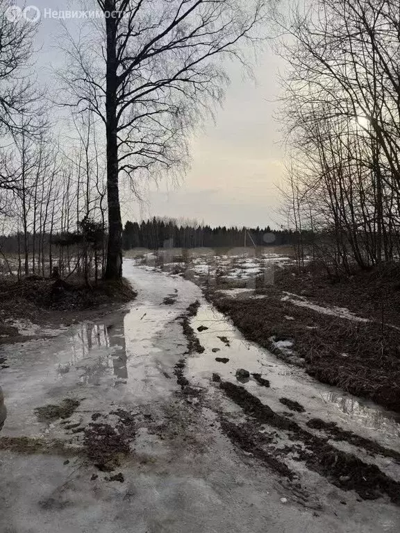 Участок в деревня Марфино, Прибрежная улица (14.6 м) - Фото 1