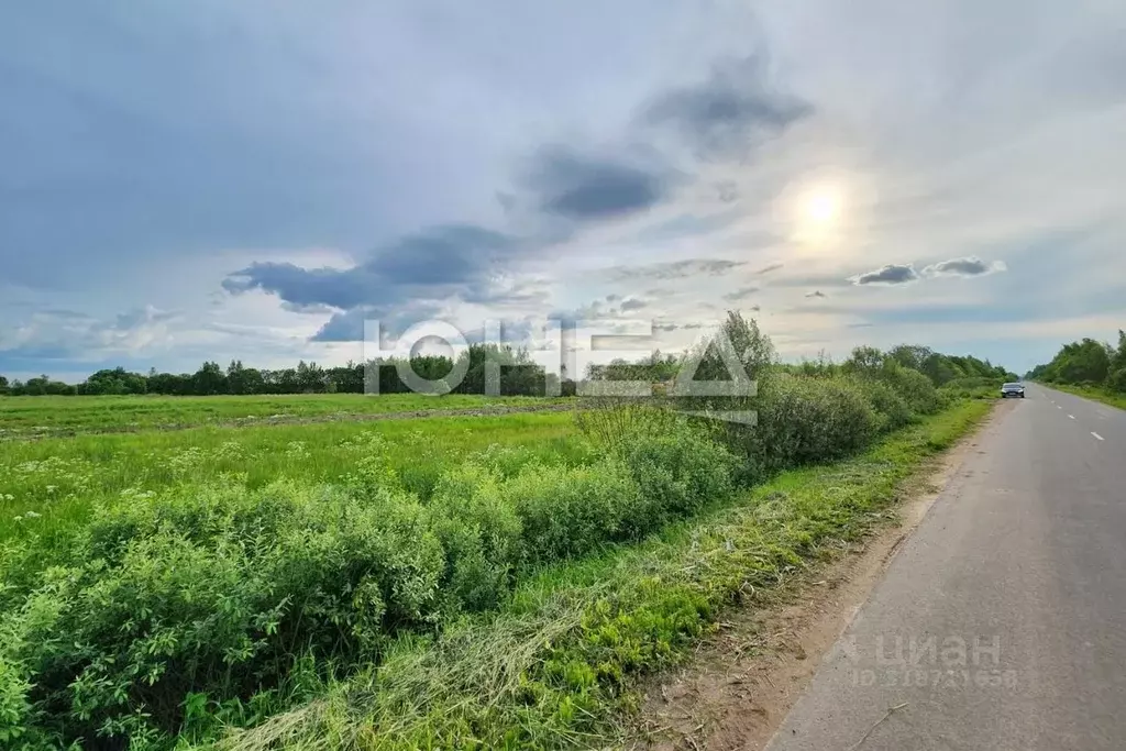 Участок в Новгородская область, Новгородский район, Трубичинское ... - Фото 0