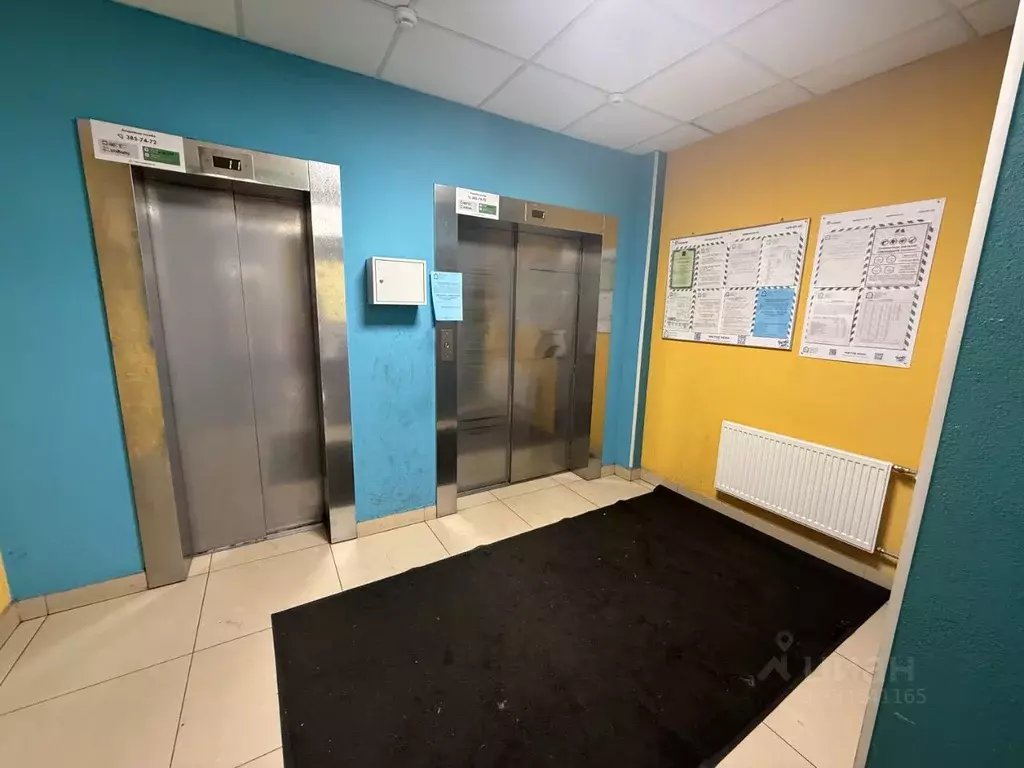 Студия Санкт-Петербург аллея Арцеуловская, 23к1 (23.9 м) - Фото 1