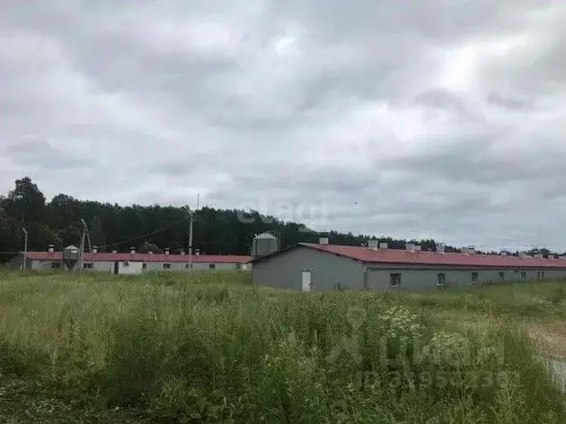 Склад в Калужская область, Юхновский район, Беляево с/пос, д. Беляево ... - Фото 1