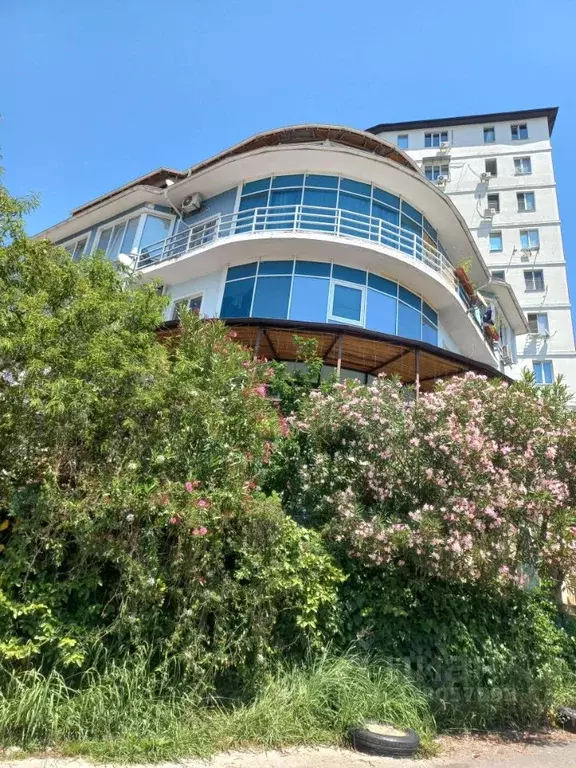 Студия Краснодарский край, Сочи Виноградная ул., 224/7 (32.0 м) - Фото 2