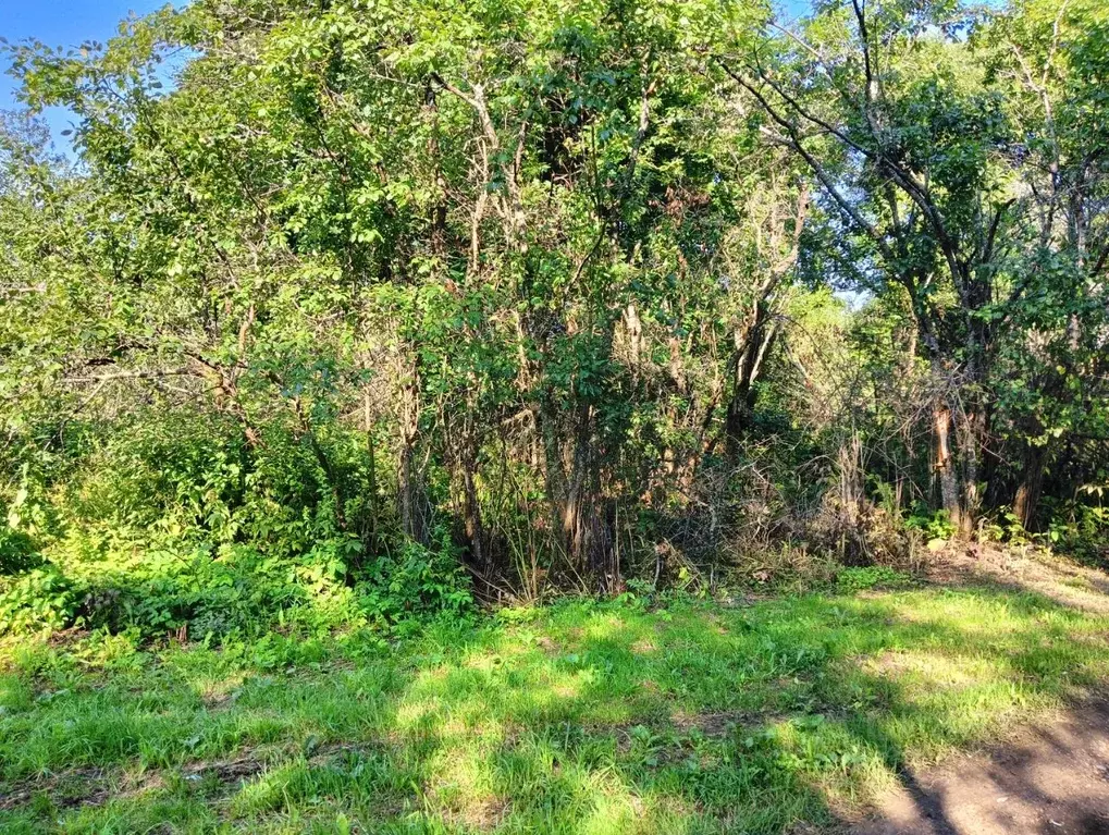 Участок в Московская область, Клин городской округ, д. Сметанино  ... - Фото 0