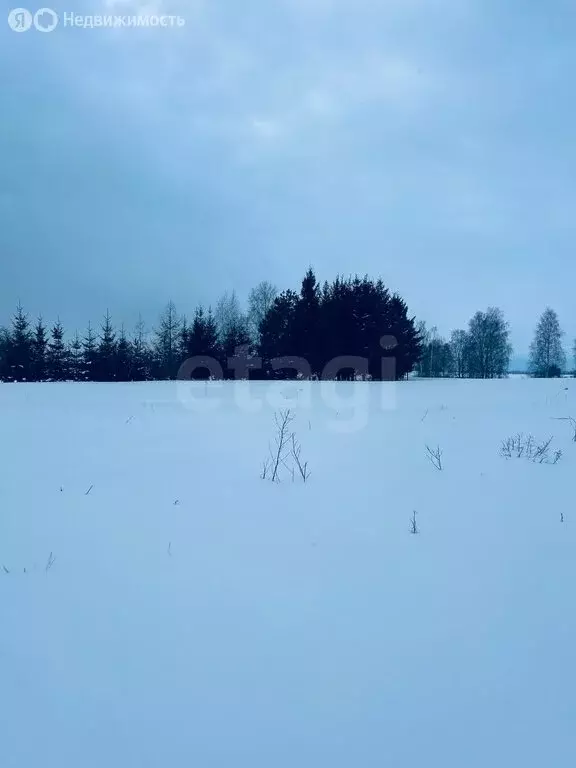 Участок в Калининградская область, Гвардейский муниципальный округ, ... - Фото 2