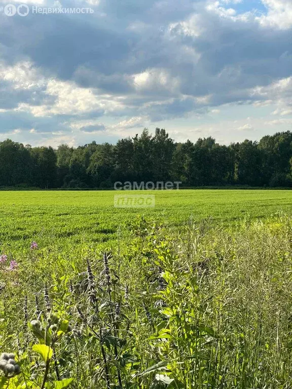 Участок в Свердловская область, муниципальное образование ... - Фото 0