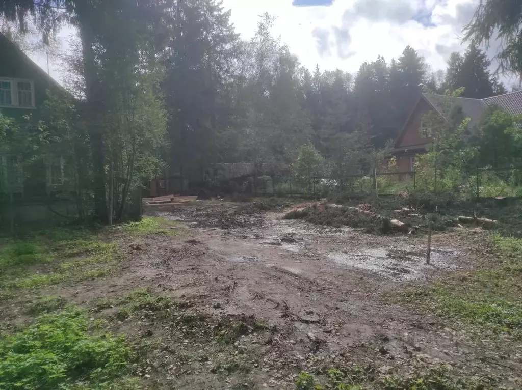 Участок в Московская область, Пушкино Звягино мкр, Советская ул., 25 ... - Фото 2