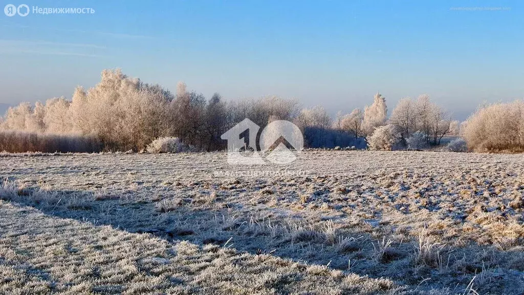 Участок в Новосибирск, СНТ Аэрофлот-1 (7.1 м) - Фото 1