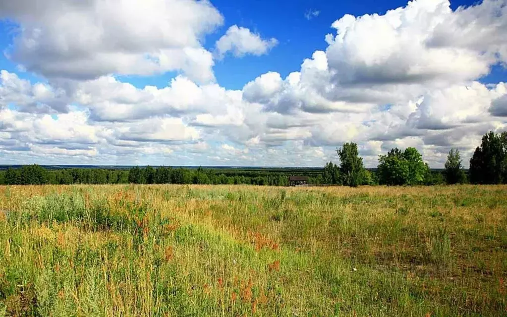 Участок в Тульская область, Тула городской округ, д. Страхово  (1000.0 ... - Фото 0