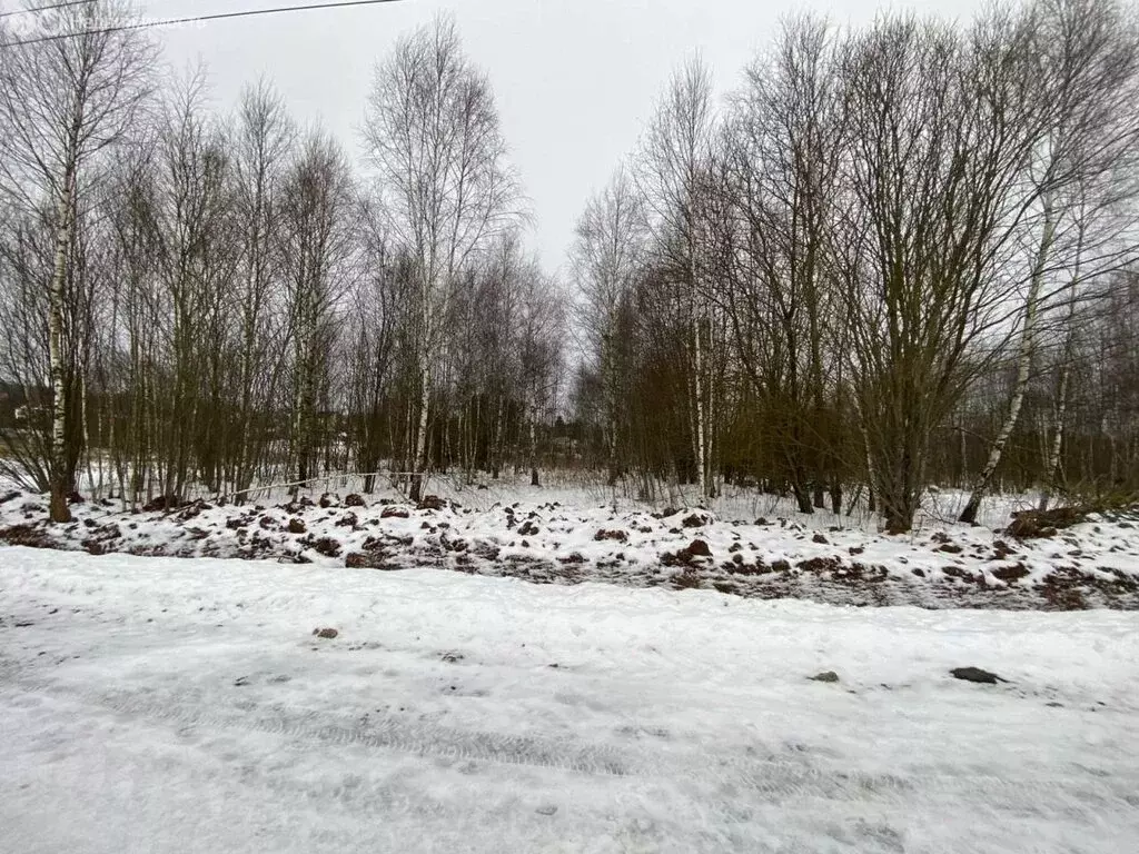 Участок в Московская область, городской округ Чехов, деревня Большое ... - Фото 0