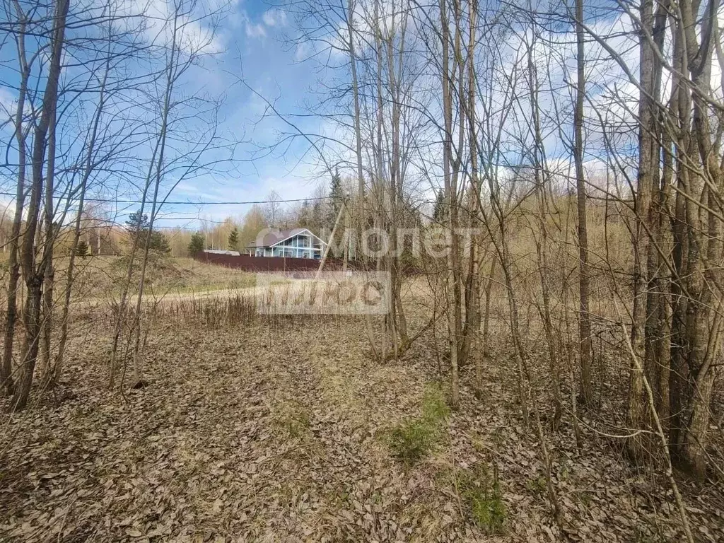 Участок в Ленинградская область, Тосненский район, Шапкинское с/пос, ... - Фото 1