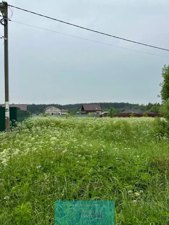 Участок в Московская область, Талдомский городской округ, Вербилки рп ... - Фото 1