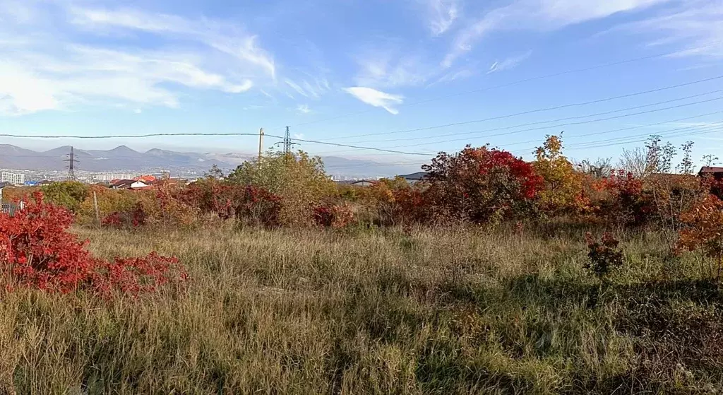 Участок в Краснодарский край, Новороссийск Цемдолина тер., ул. ... - Фото 1