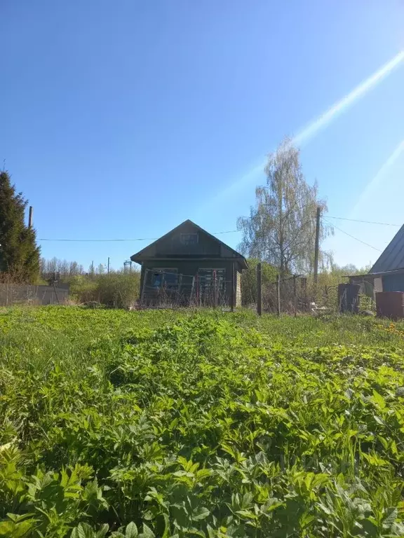 Участок в Вологодская область, Вологда Берег-1 садоводческое ... - Фото 0