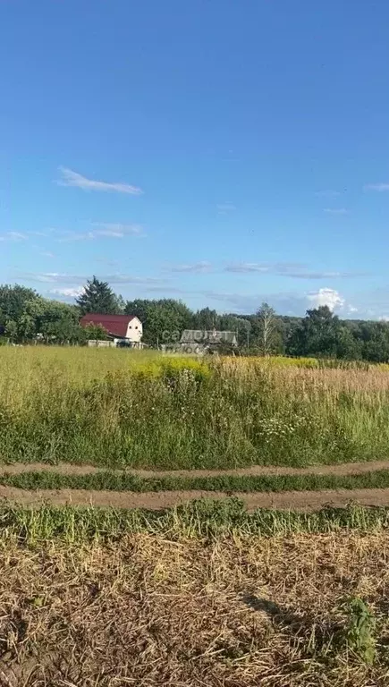 Участок в Брянская область, Жуковский муниципальный округ, с. Овстуг ... - Фото 1