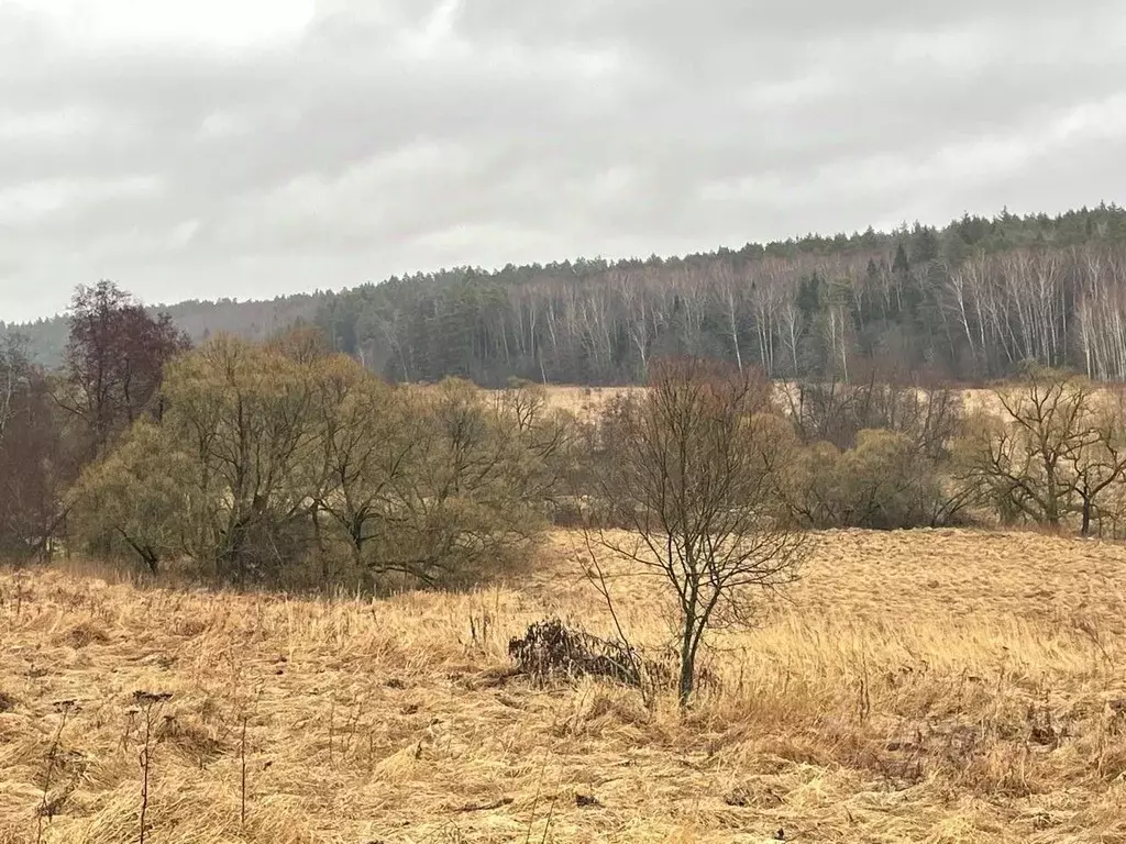 Участок в Московская область, Серпухов городской округ, д. Барыбино  ... - Фото 0